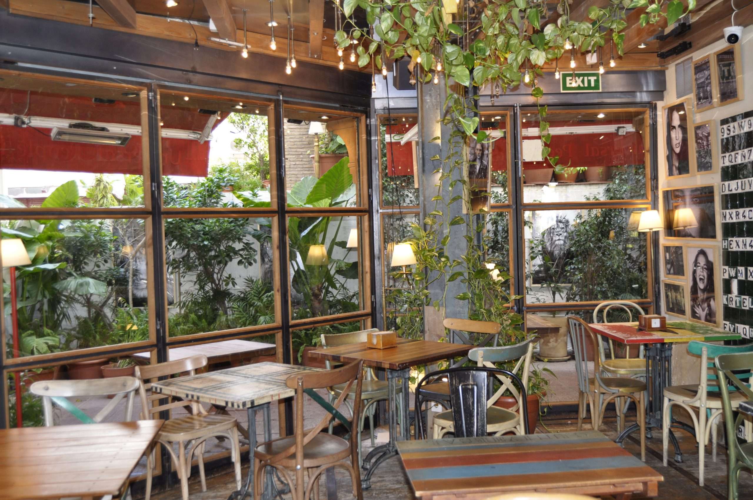 Pelayo Bar